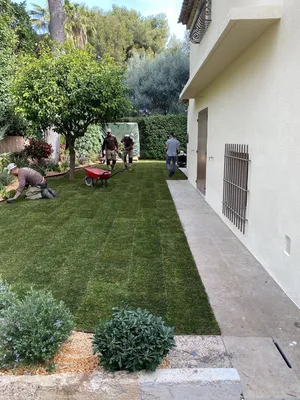 Placage de gazon à Monaco