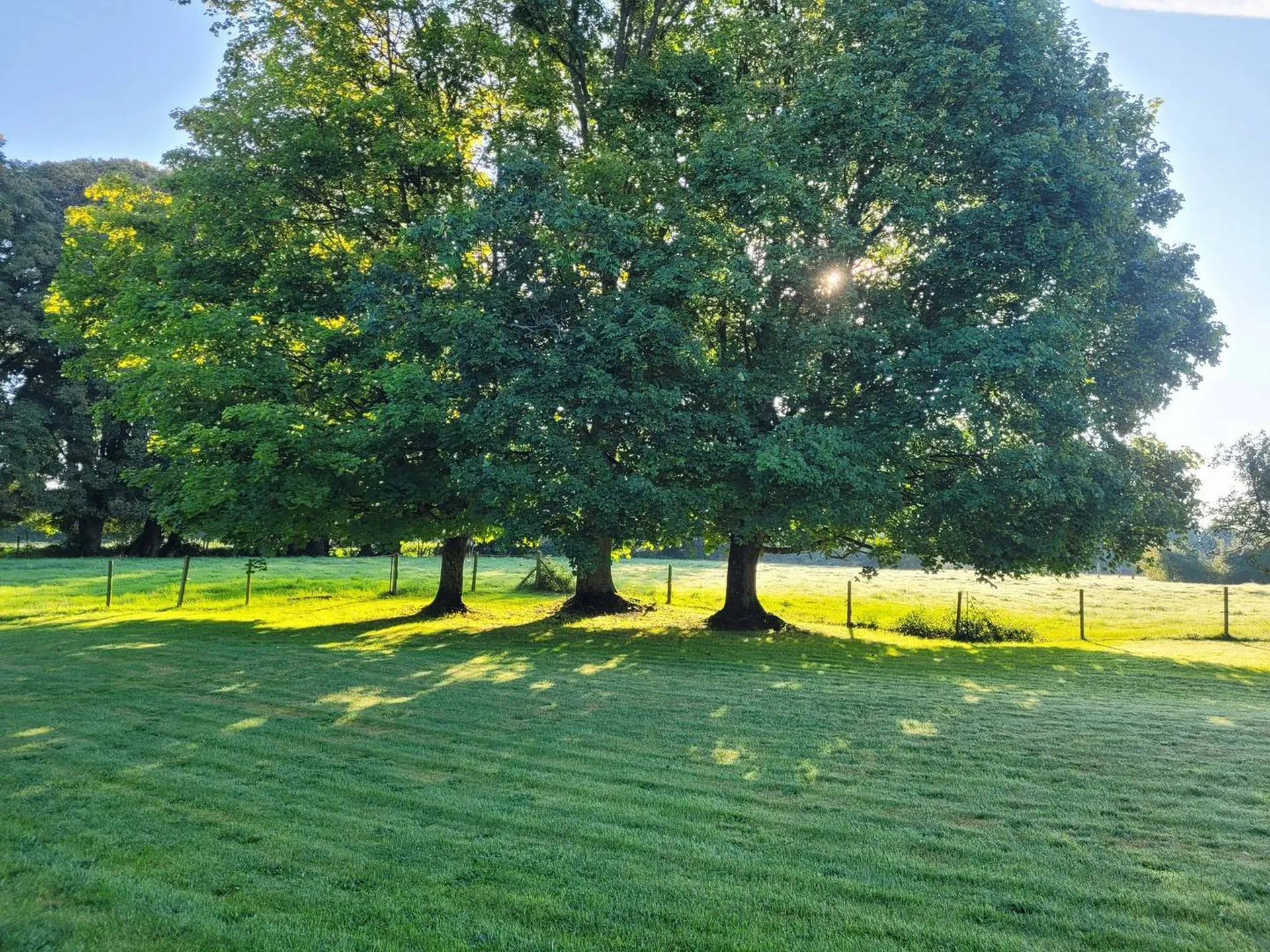 Maison de Caractère proche Pont-L'Evêque