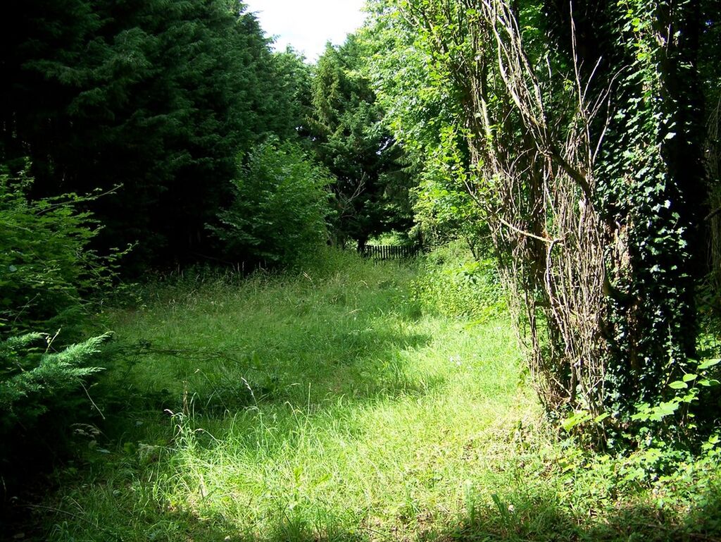 Acquérir, maison de caractère, centre bourg