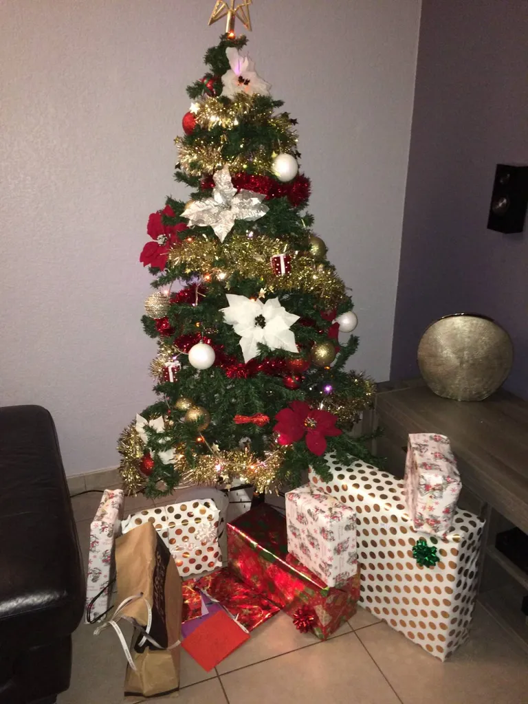 Père noël à domicile à Martigues