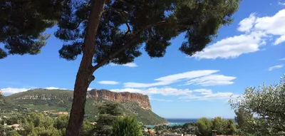 Estimation cap Canaille