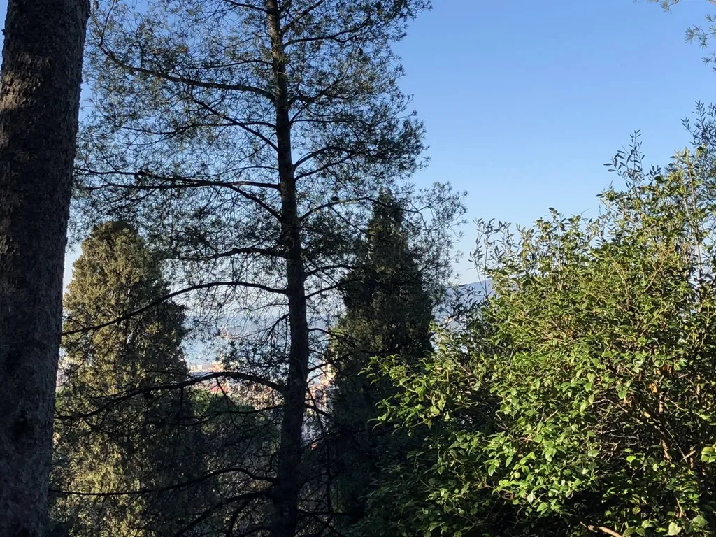 VENDU! Terrain 683 m² à TOULON