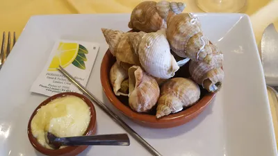 Bulots cuits à Marseille