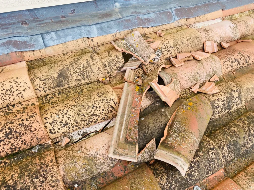 Solin et tuiles cassées sur bouc bel air