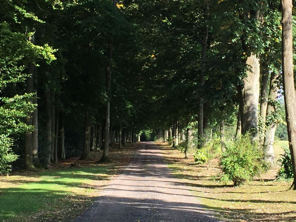 Vente de bois et propriétés de chasse en normandie