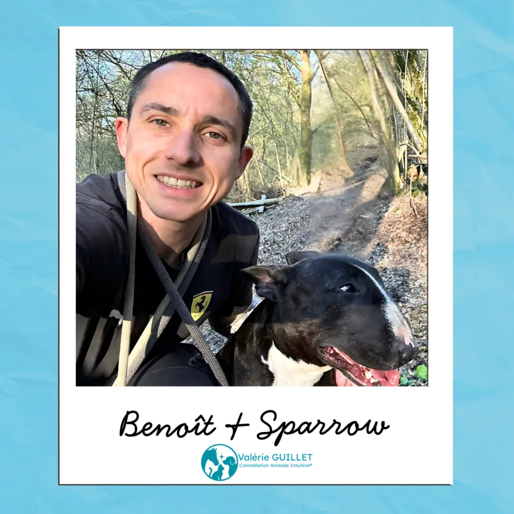 Des résultats encourageants pour Benoît et Sparrow