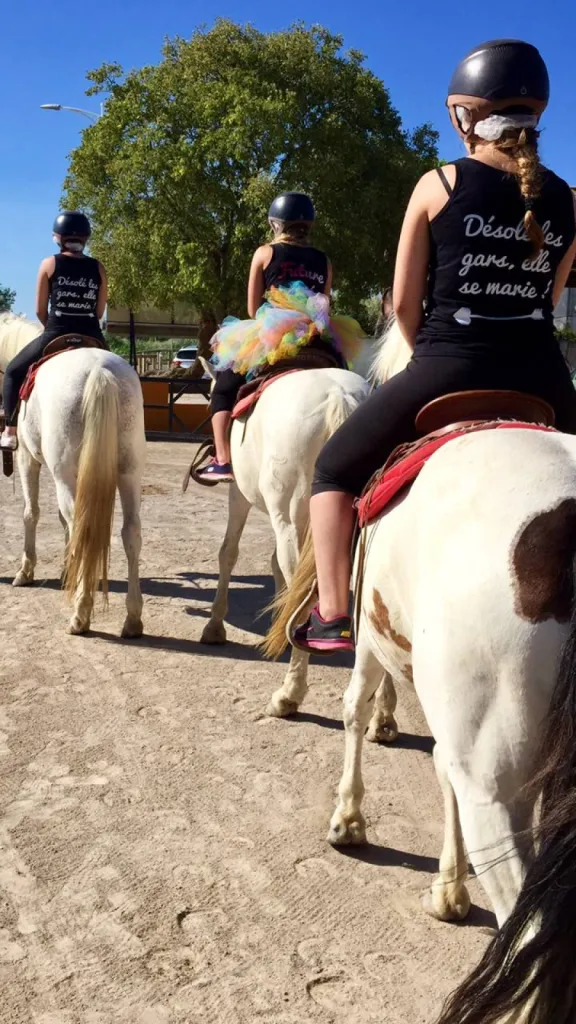 balade a cheval en camargue