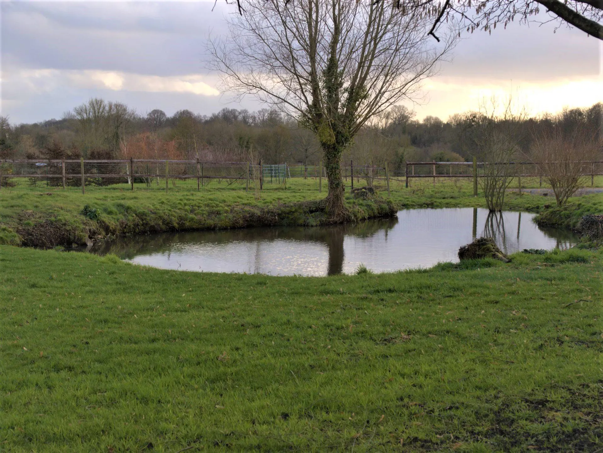 A acquérir manoir à colombages avec dépendance proche Moyaux 14590