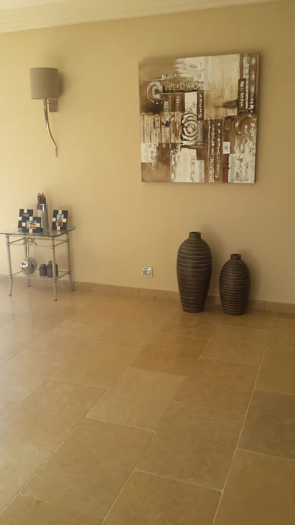 pierre naturelle intérieur 