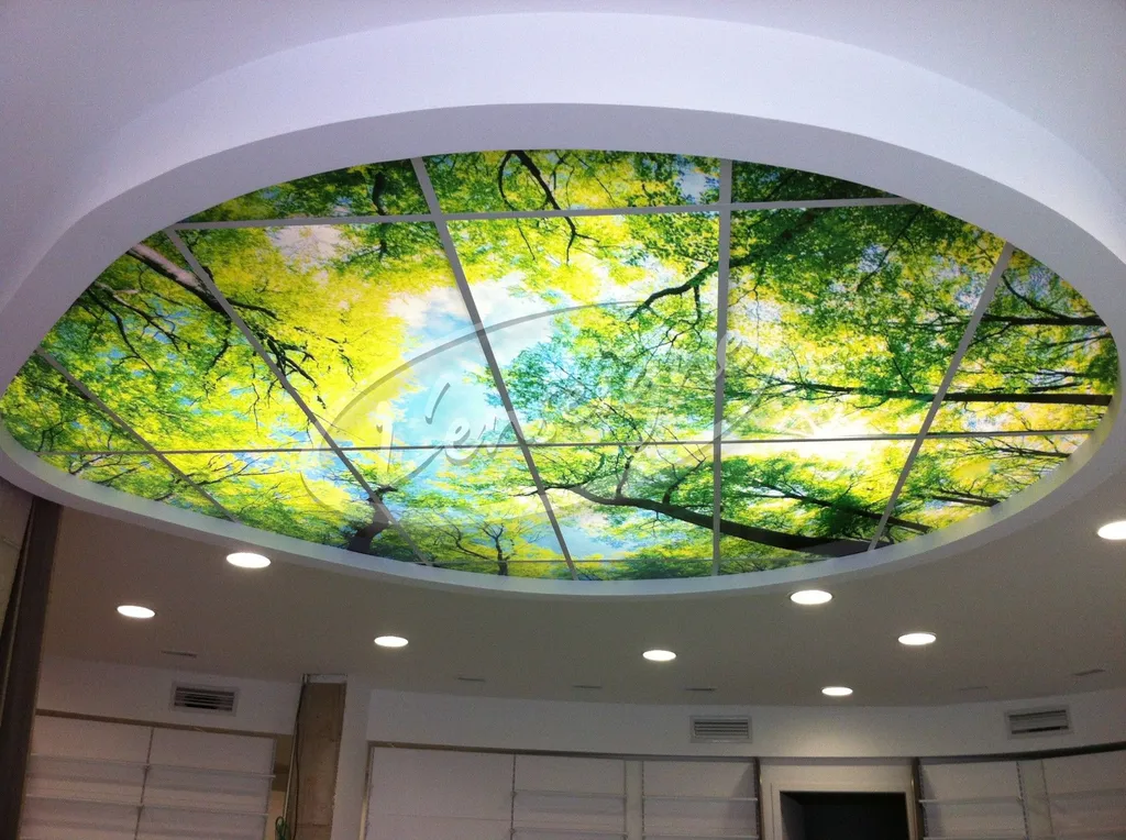 image pour plafond lumineux à arles