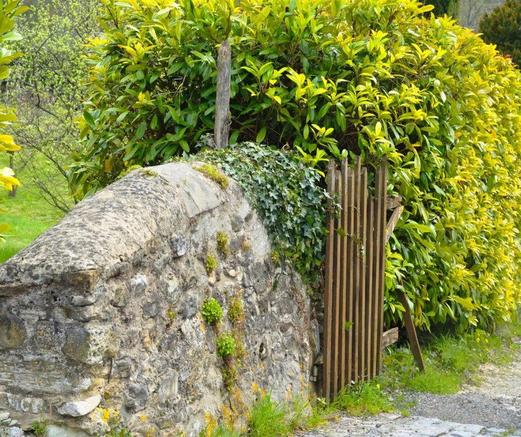 Transformez votre propriété avec une séparation de propriété en Lauriers à Saint André de Cubzac