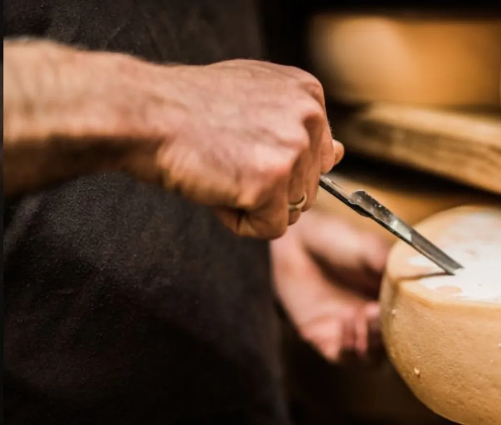 Fromages bio Rhône Alpes pour grossistes