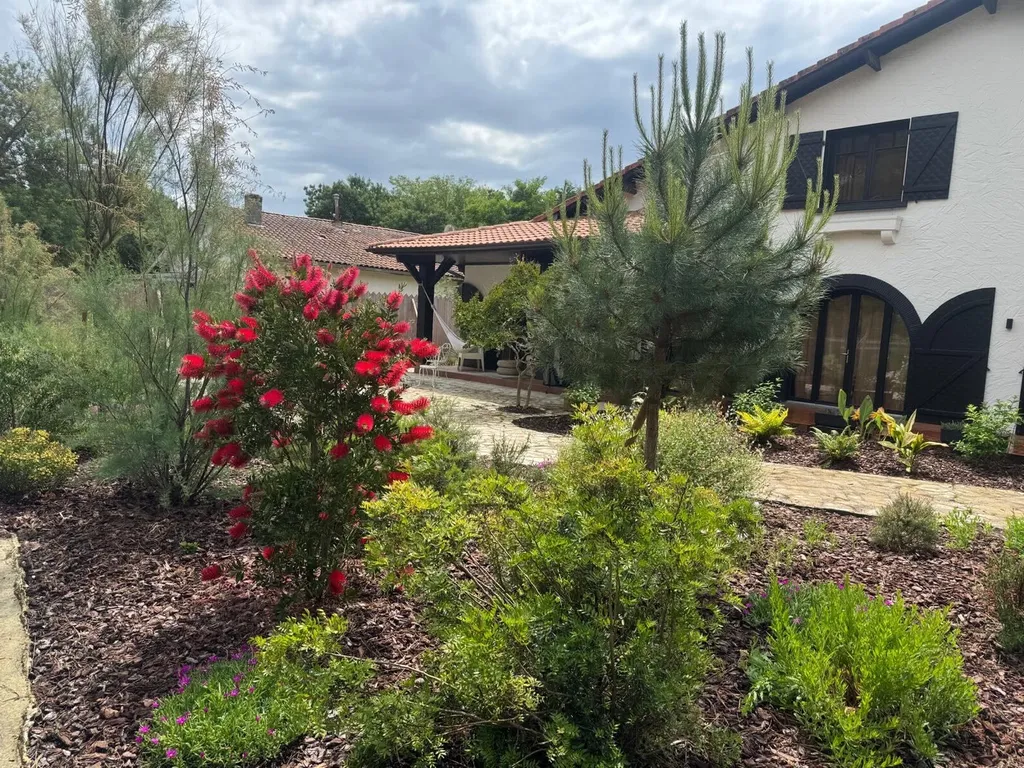 Création de massif paysager avec paillage et plantes variées à Mimizan