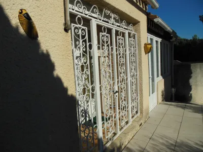 GRILLES DE PROTECTION ENTREE EN FER FORGE AMOVIBLES LANCON DE PROVENCE