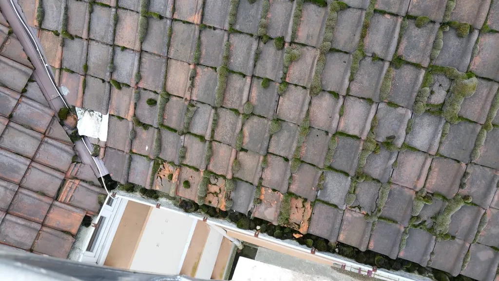 Nettoyage couverture tuile Caudebec en Caux