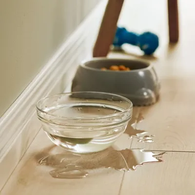 Craquez pour du parquet stratifié Aquasafe à Tôtes, non loin de Dieppe en Seine-Maritime.