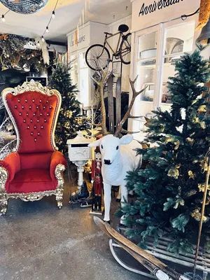 location d'un trône pour le père Noël