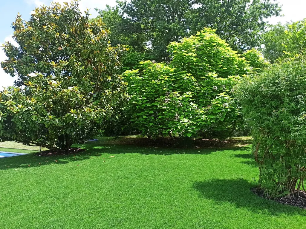Contrat d'entretien sur la commune de Peujard en Gironde proche saint André de Cubzac