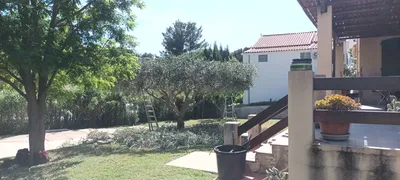 Taille d oliviers à Vaufreges 9ème à Marseille. 
