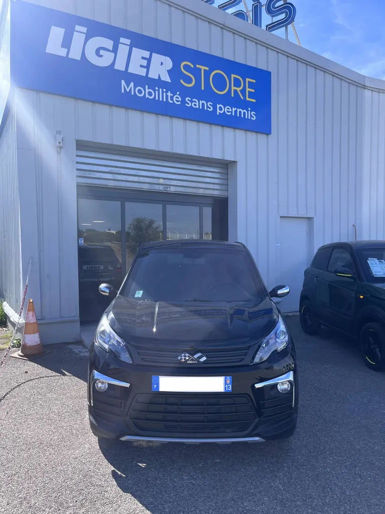 Voiture sans permis d'occasion Ligier Vitrolles