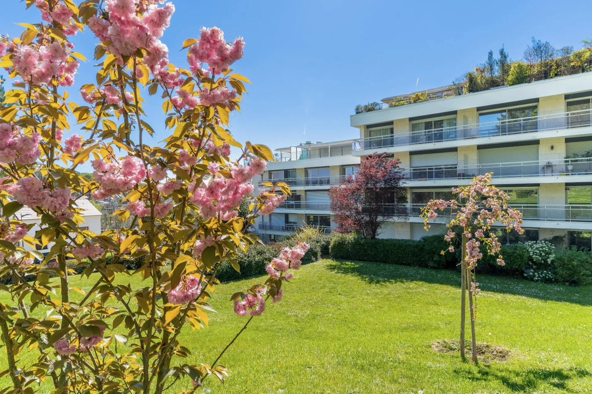 SÈVRES Quartier de la Monesse à vendre un appartement dans une résidence de standing en pierre de taille – Environnement verdoyant et calme