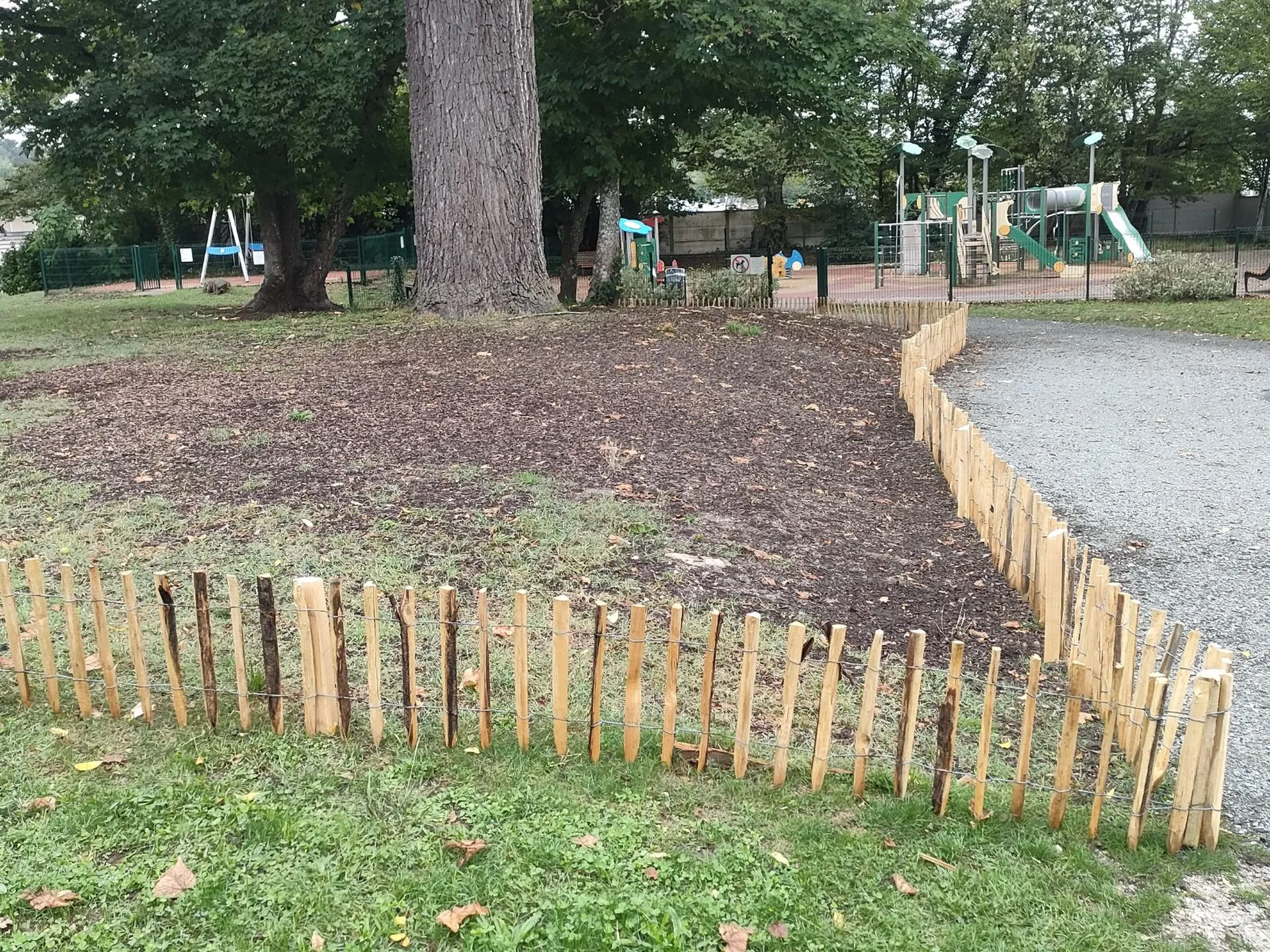 Protéger de nouvelles zones plantées et des arbres très anciens de notre patrimoine sur Bruges 33520
