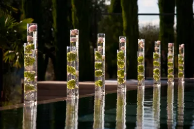 An Amazing and Luxury Wedding organized with Roses Theme in Villas and Bastide with Swimming Pool in Luberon Provence