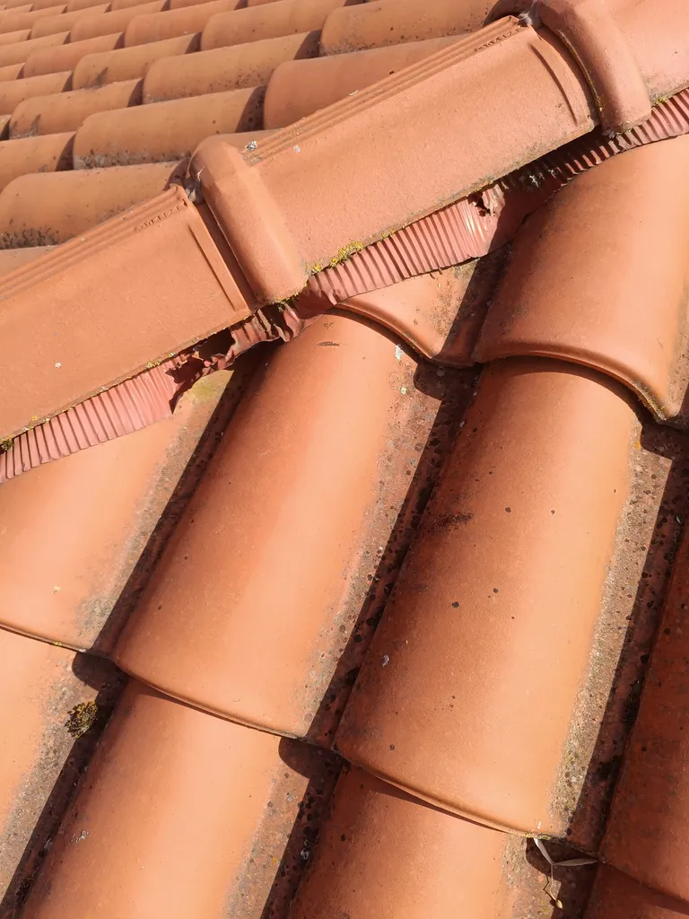 Intervention nid de guêpes par poudrage sous toiture et neutralisation de colonie par des techniciens certifiés Certibiocide à Chalamont dans l'Ain