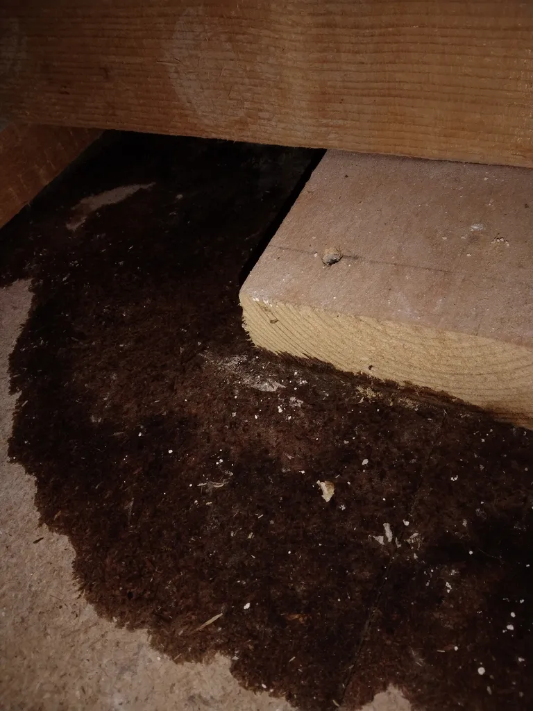 Recherche fuite d'eau secteur Le Havre : tarif plombier spécialisé en recherche de fuite d'eau sur un chauffe eau