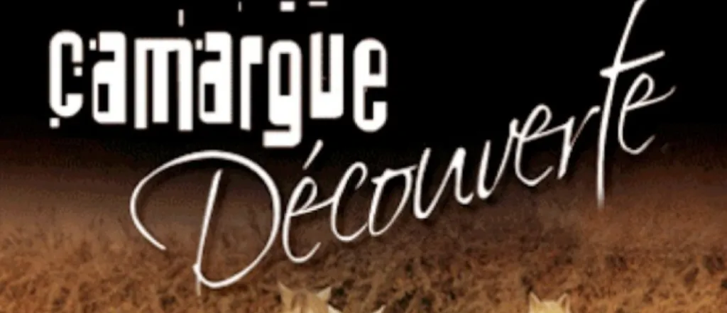 quoi faire en famille à saint rémy de provence