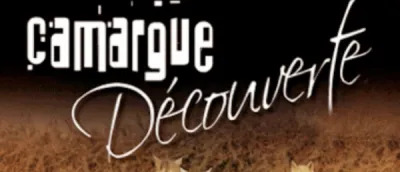 quoi faire en famille à saint rémy de provence