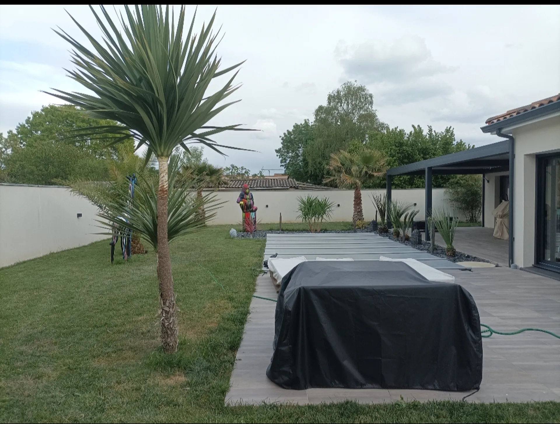 Entretien d'un jardin exotique sur Cugnaux, nettoyage de palmiers, yucca, dracaena...