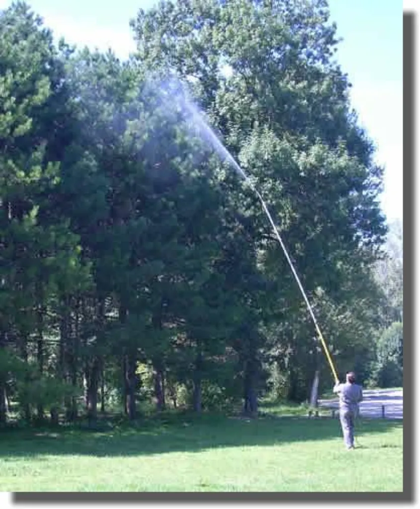 traitement de la chenille processionnaire du pin velaux 13880
