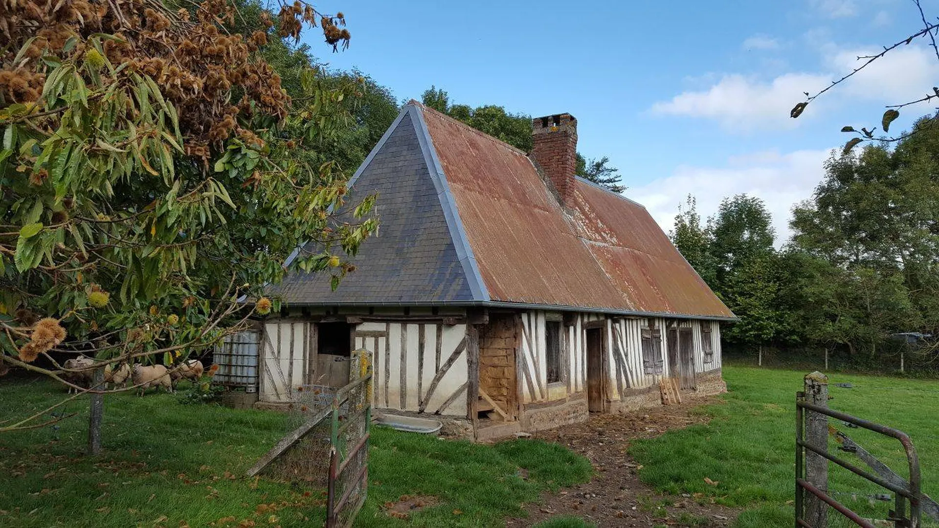 L'agence Terres et Demeures de Normandie Lisieux 14100
