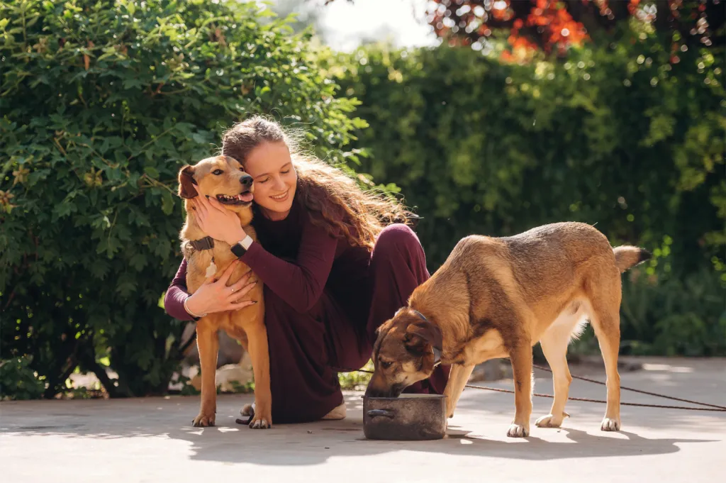 Choisir un service de promenade de chien abordable et flexible à Haguenau et Bischwiller
