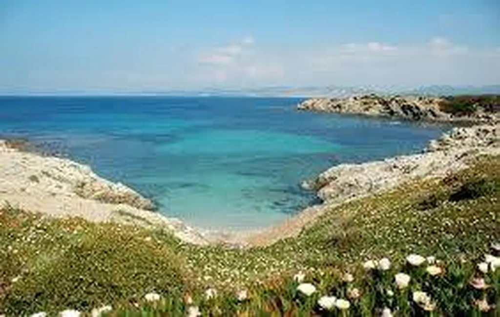 Exploration de l'Île des Embiez en Bateau avec L'Eden Boat : Découvrez un Paradis Méditerranéen