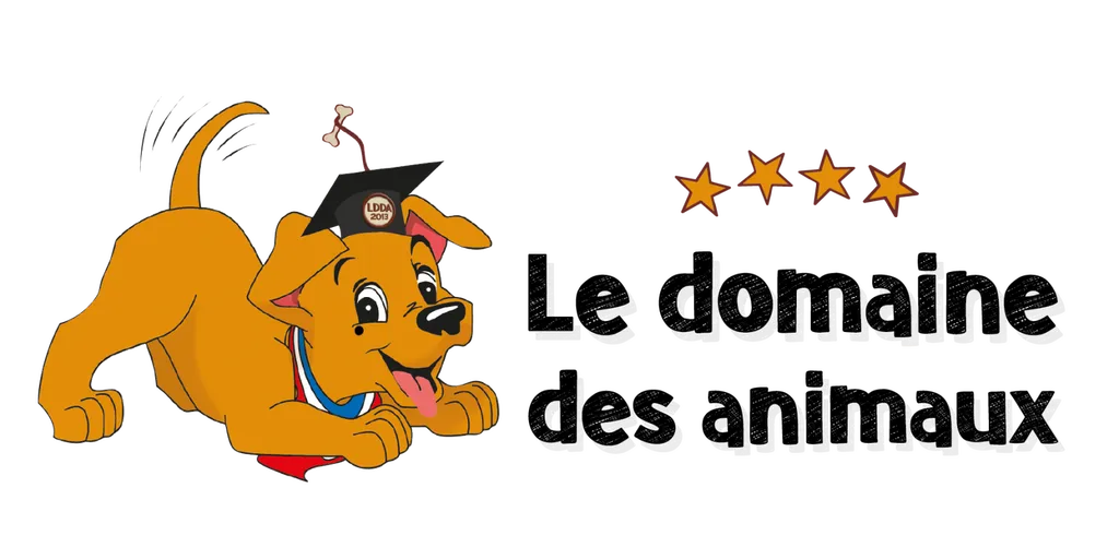 programme de formation LDDA