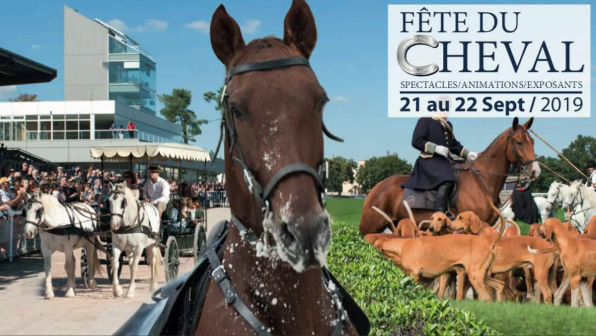 Bsa sécurise la fête du cheval à l'hippodrome du Bouscat
