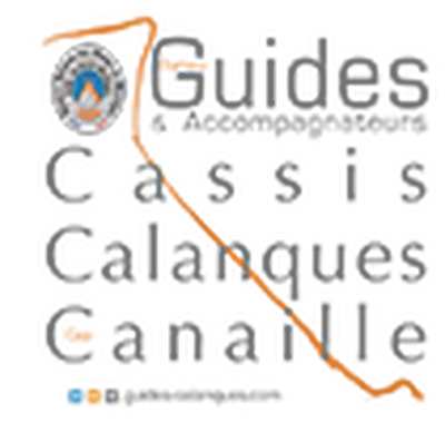 Escalade avec guides accompagnateurs Cassis Guides calanque
