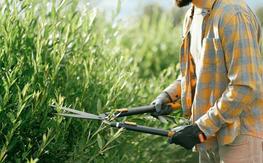 Taille de haies par entreprise d’entretien de jardin dans les Alpilles