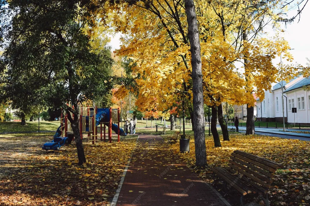 Sécuriser les parcs, jardins, écoles et zones sensibles contre les chenilles processionnaires à Toulouse 