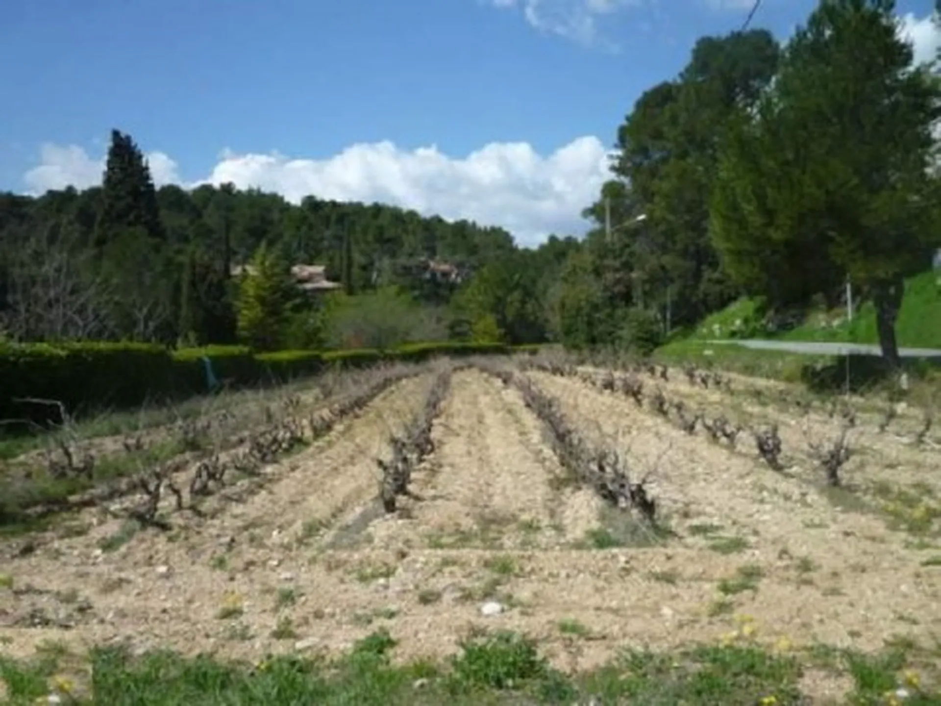 Vente terrain à bâtir par castellas immobilier Roquefort la Bédoule