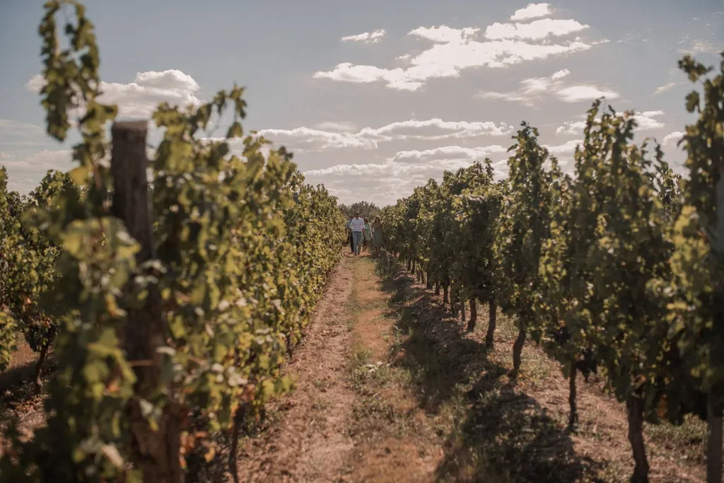 Mariage Marine & Thomas : organisation d'un mariage bohème au milieu des vignes dans le Libournais - Les Mariages de Mademoiselle L - David Vinso