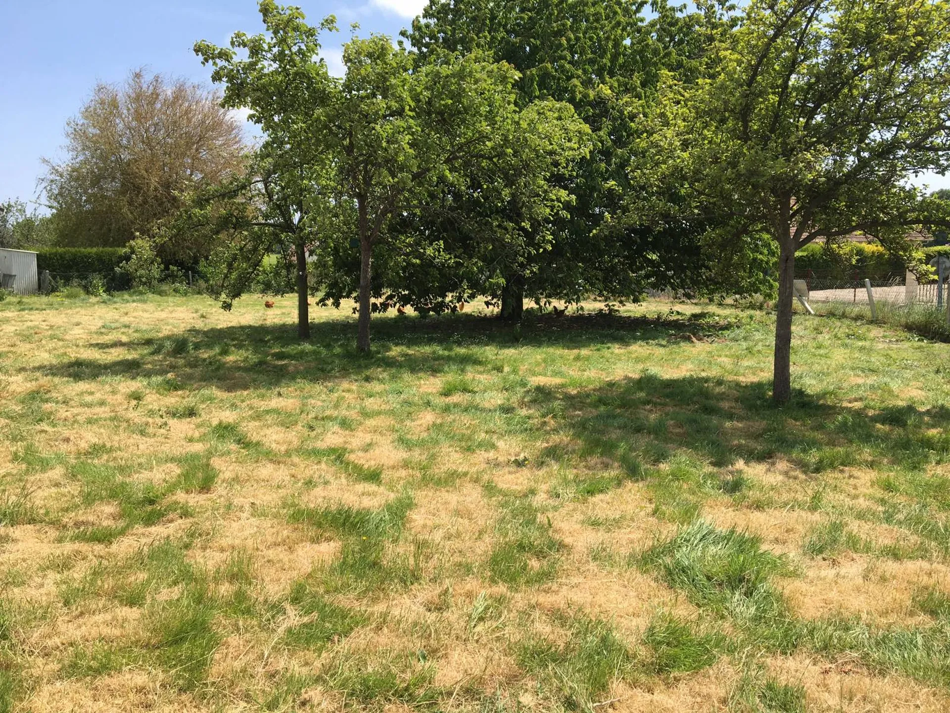 A vendre, beau terrain à bâtir, situé sur l'axe Caudebec en Caux / Yvetot