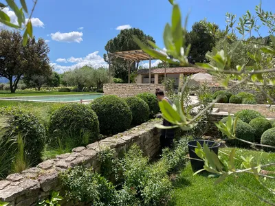 Taille esthétique à Roussillon (84) par notre entreprise de paysagiste à Avignon