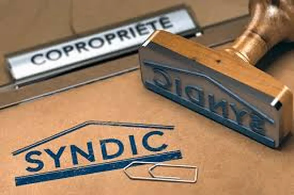 Quelles sont les missions du syndic de copropriété professionnelle et mixte ACTIPRO dans les Pyrénées-Orientales ? Gestion experte accompagnement dédié et services spécialisés pour votre tranquillité.