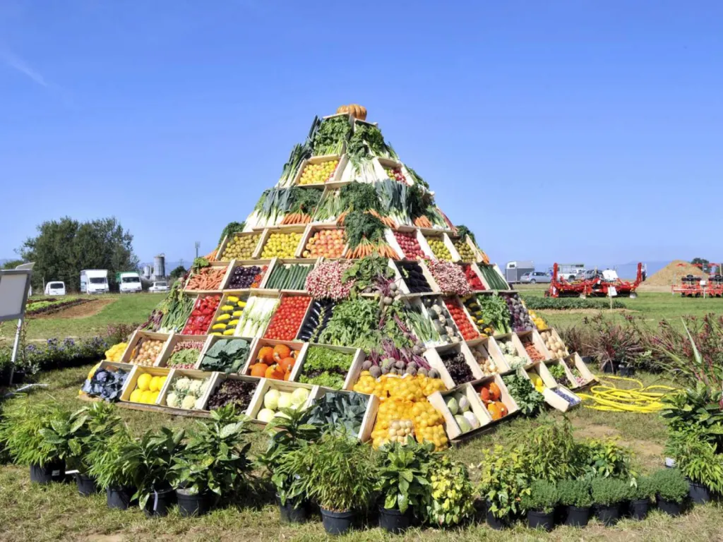 Photographe institutionnel pour reportage d’événement de collectivité à Lyon et en région Auvergne Rhône-Alpes