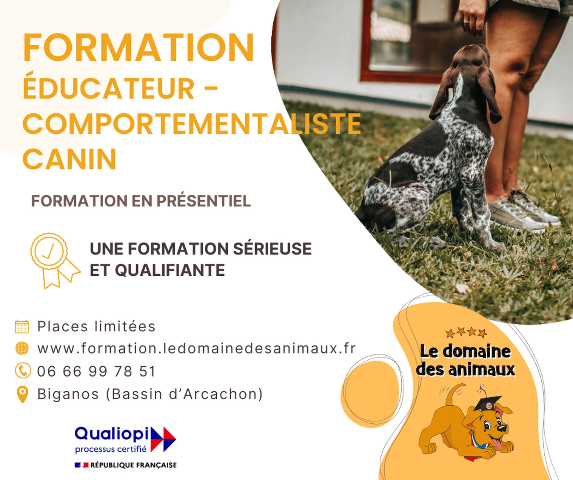 meilleur centre de formation avec logo chien roux le domaine des animaux