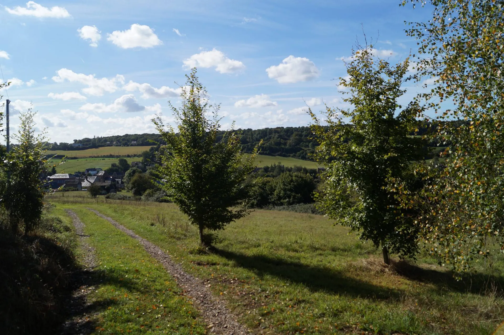 Acquisition propriété de charme a flan de colline région Clavados 14
