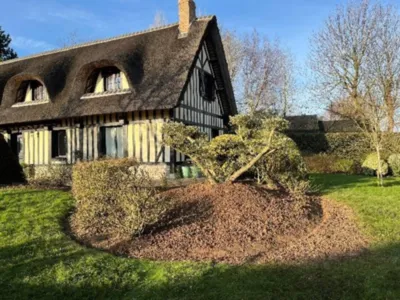 Artisan paysagiste pour la plantation d'un olivier pour un aménagement de jardin sur le secteur d'Yport 76